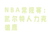 开云体育平台APP-凯尔特人赢下雄鹿，轻松取胜