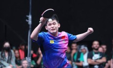 开云体育平台APP-阿尔巴尼亚取得关键胜利王克莱因制胜球的简单介绍