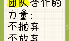 开云体育入口-一场激烈的角逐中，球员们用实际行动诠释了团队力量