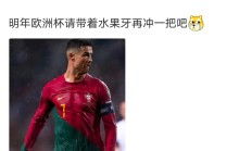 开云体育在线-包含斯洛伐克队客场告捷，欧预赛未来一片光明的词条