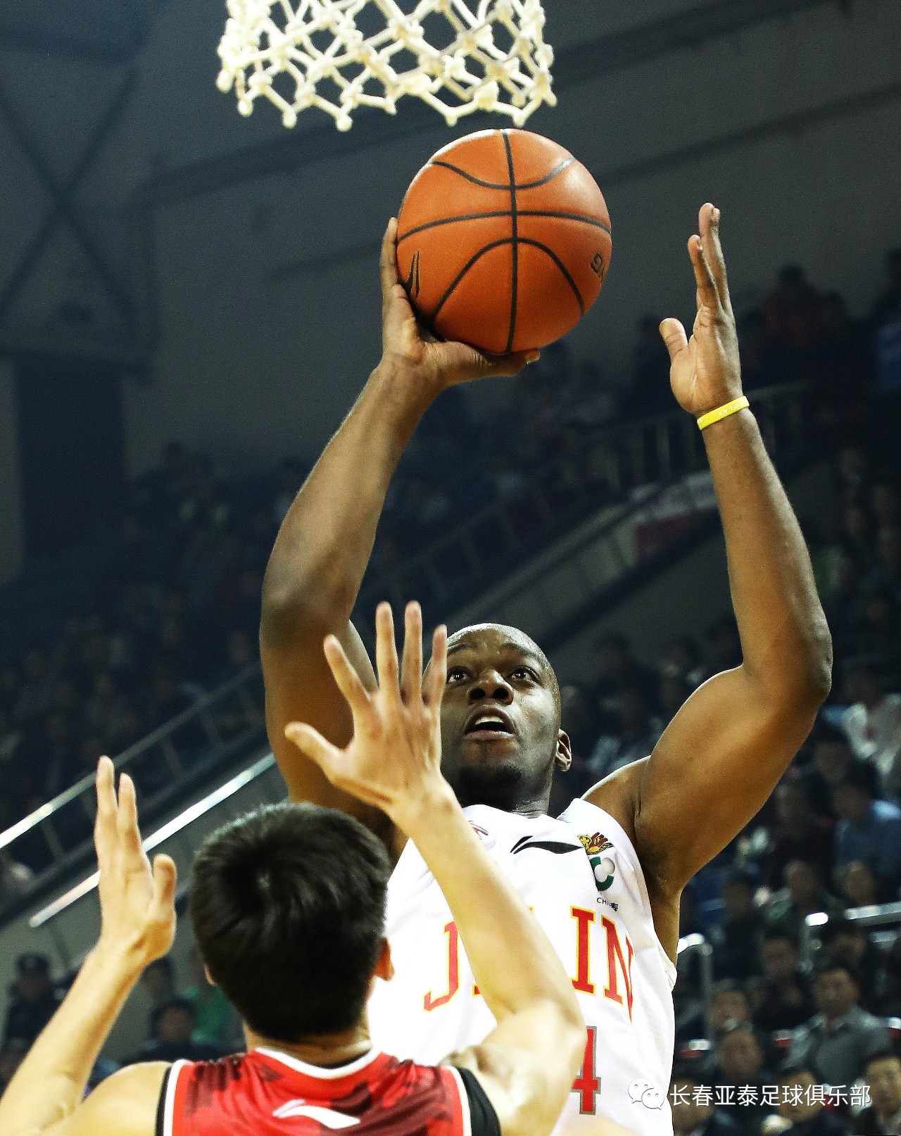 辽宁沈阳东北虎毅然冲向中超，取得亮眼成绩