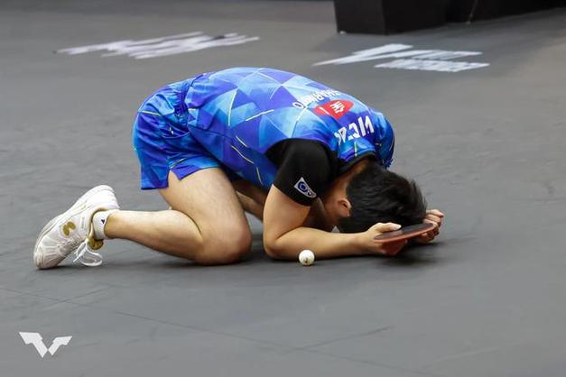 泰国羽毛球队轻取中国羽毛球队，陶菲克关键制胜的简单介绍