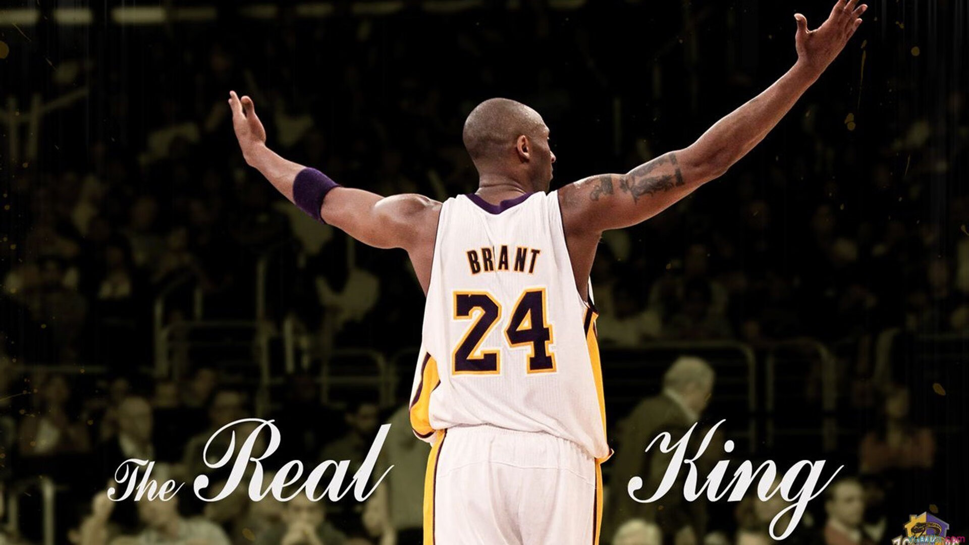 篮网翻盘太阳,保罗在布鲁克林的午夜指挥一曲逆转交响乐